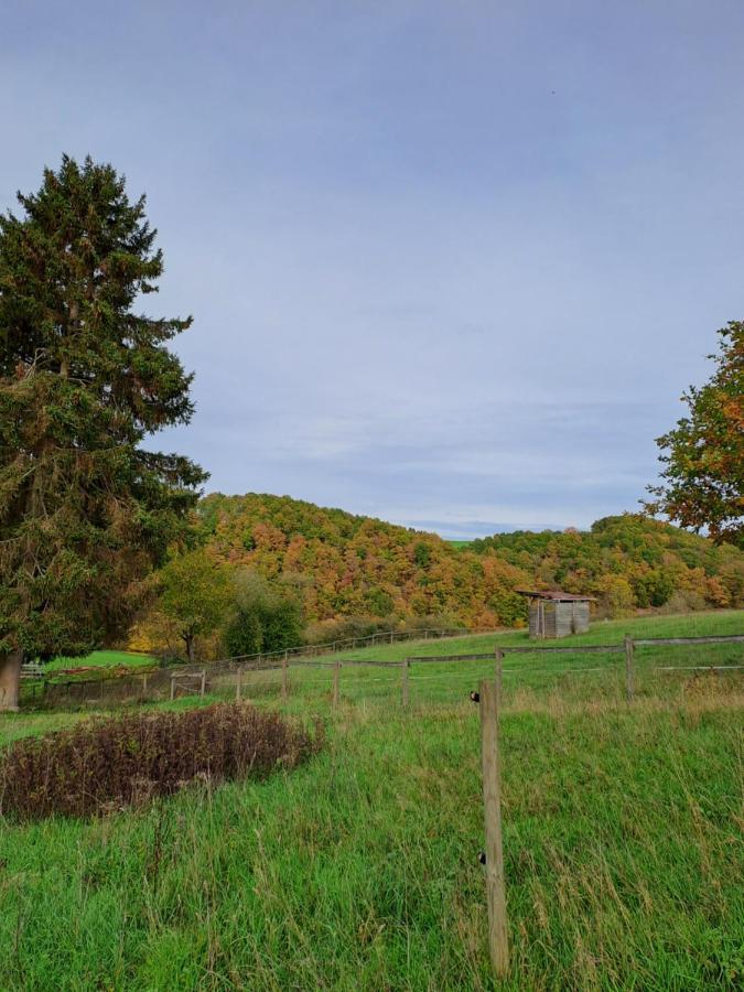 Ferienhaus Eifel