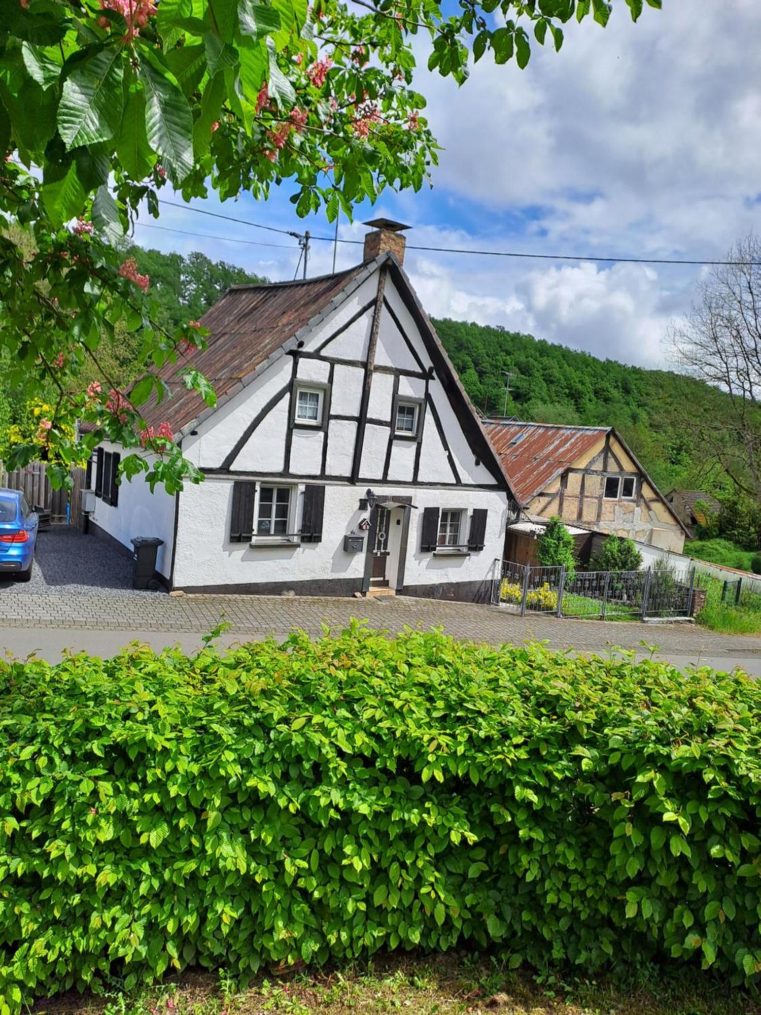 Ferienhaus Eifel Demerath